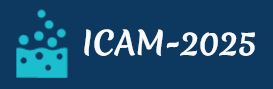 ICAM-2025